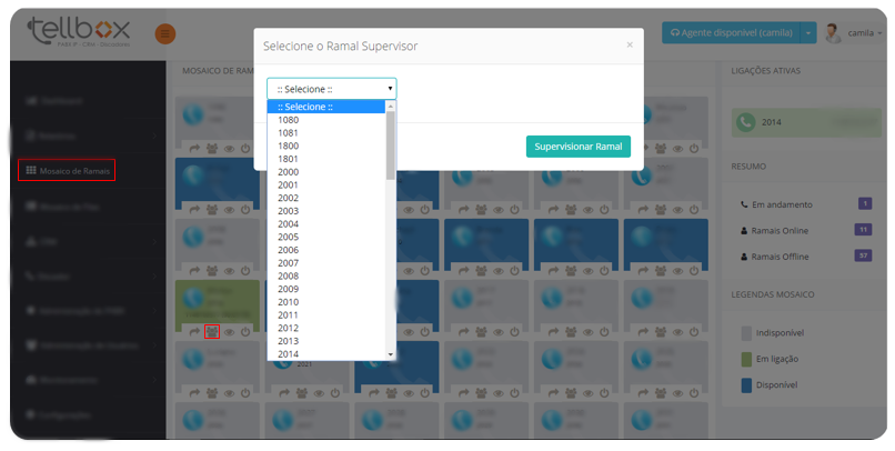 mosaico-ramais-supervisionar